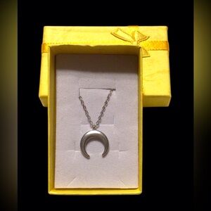 NIB..Stainless Steel Fashion jewelry Crescent Pendant Necklace .